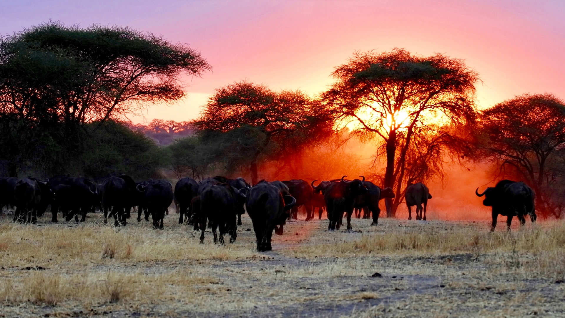 arusha national park