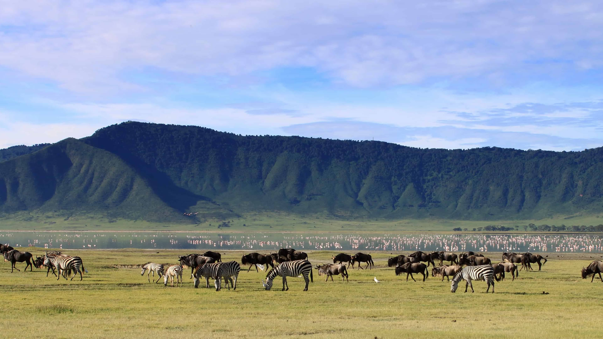 ngorongoro conservation area