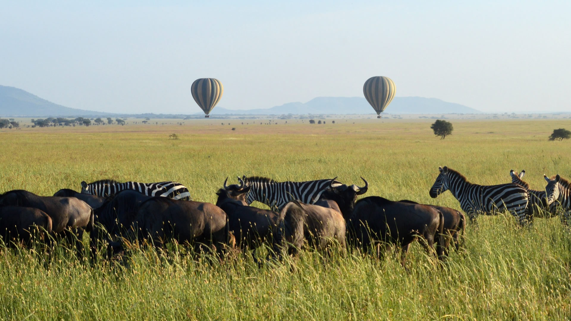 serengeti national park