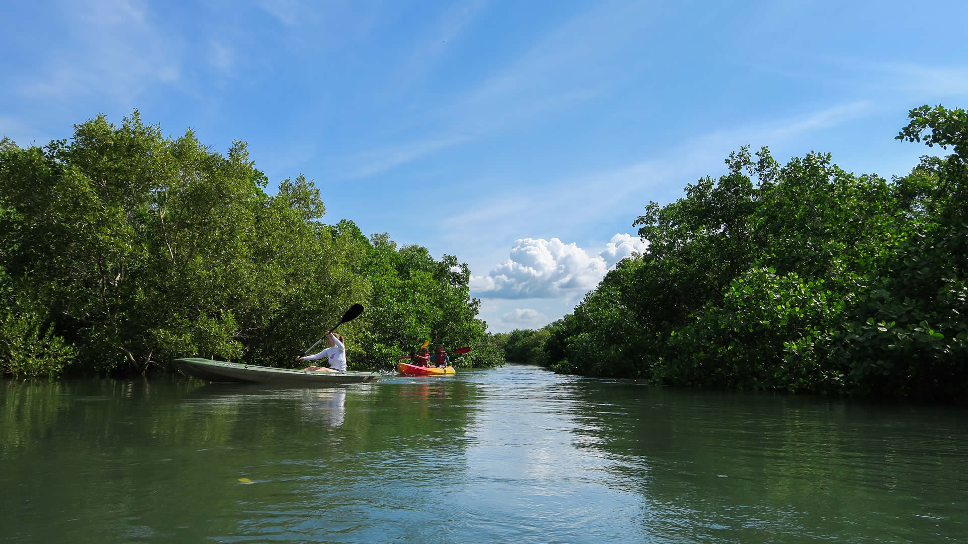saadani national park