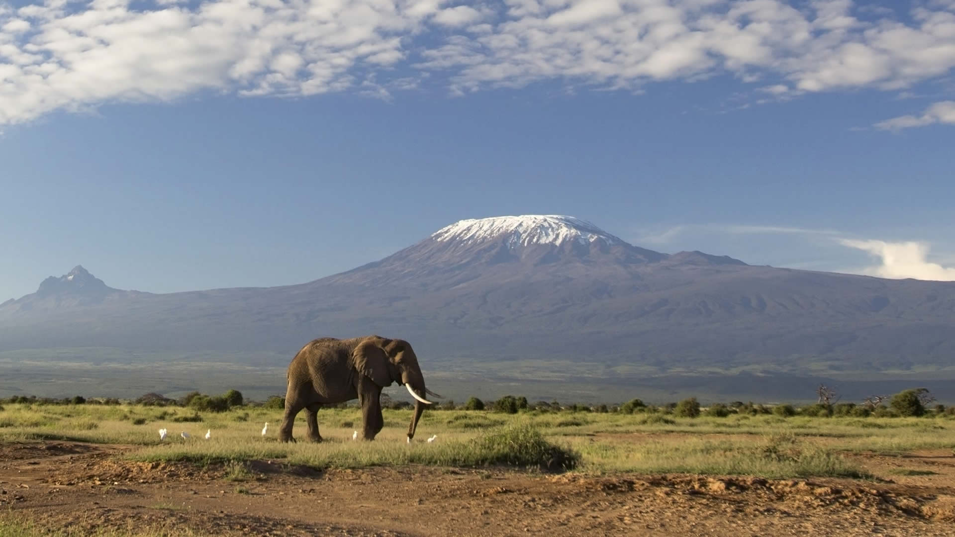 west kilimanjaro